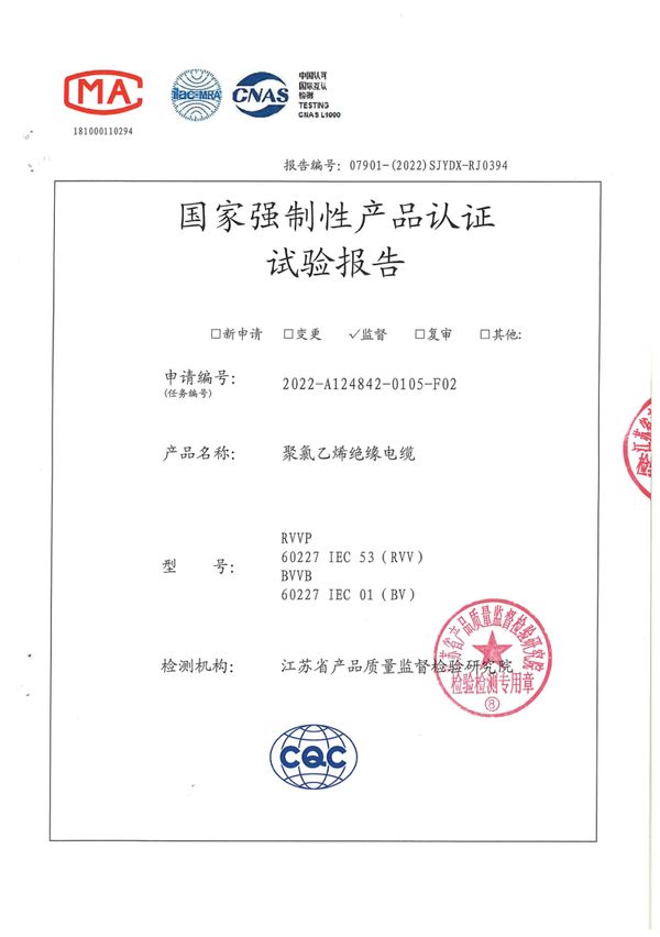 RVVP 2×1國家強(qiáng)制性產(chǎn)品認(rèn)證試驗(yàn)報(bào)告（2022）